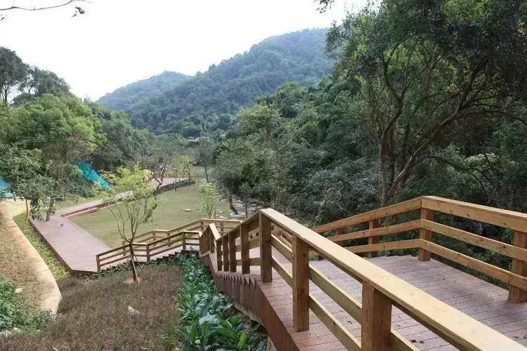 羊台山风景视频大全,深圳羊台山哪里风景最好