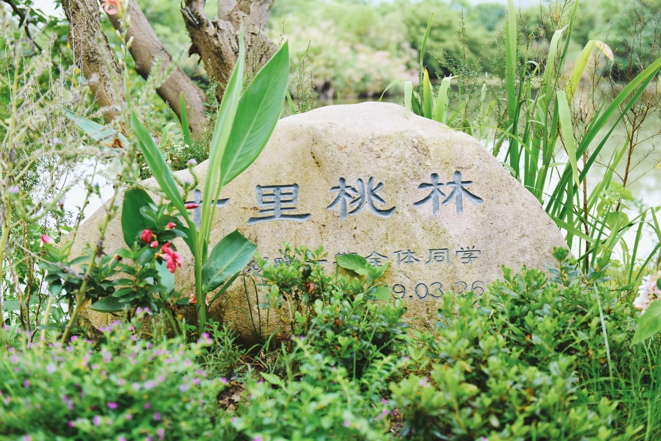 绿色世界花的海洋，在十里芳菲宠爱自己的24小时