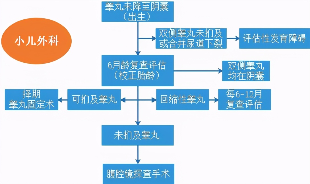 100个男婴中至少有2个没有“蛋蛋”！他们的“蛋蛋”去哪了？