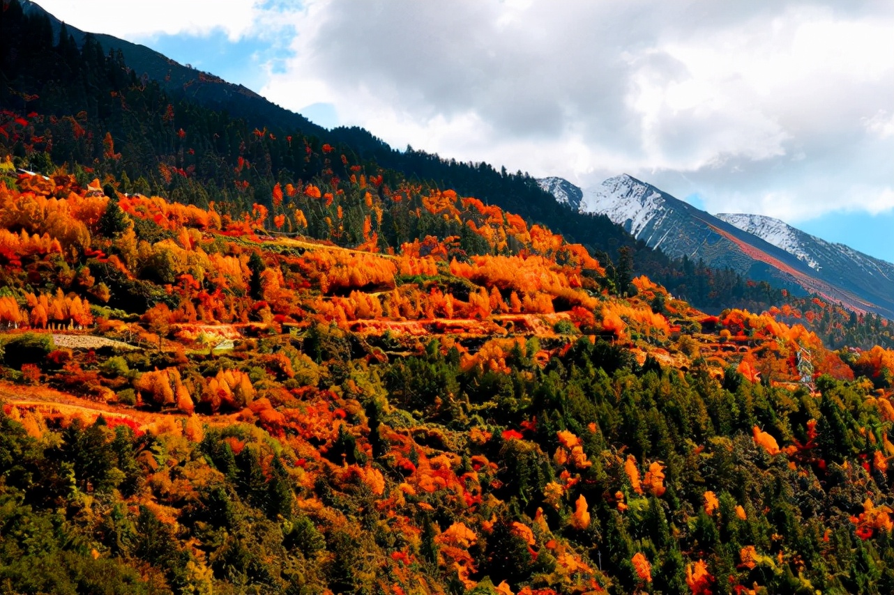 阿坝州红叶之旅,什么时候去阿坝州看秋景最佳