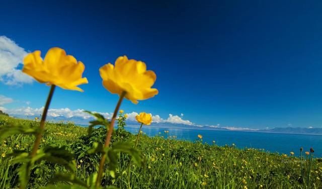 第一次去新疆玩南疆还是北疆合适,去南疆还是南北疆一起去