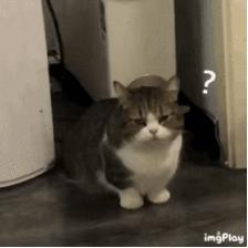 空管润唇膏,润唇膏空管