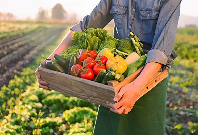 怎么选配送平台,怎么做好配送公司
