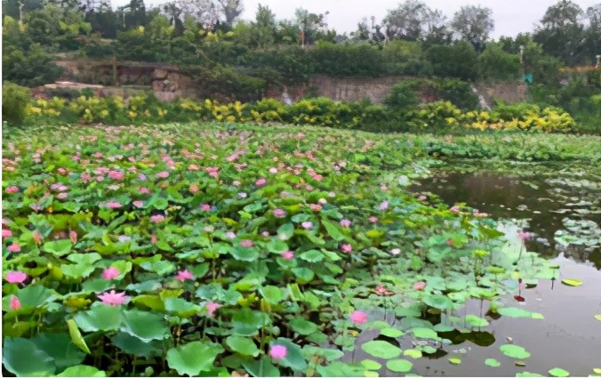 《复兴你好》第二十一期