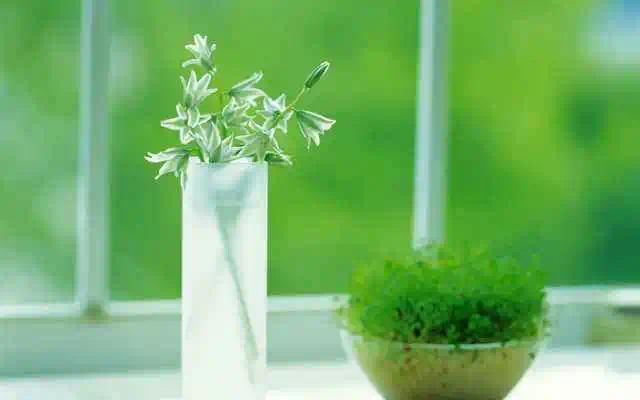 新风系统最好的小区房,高档住宅的新风怎么设计