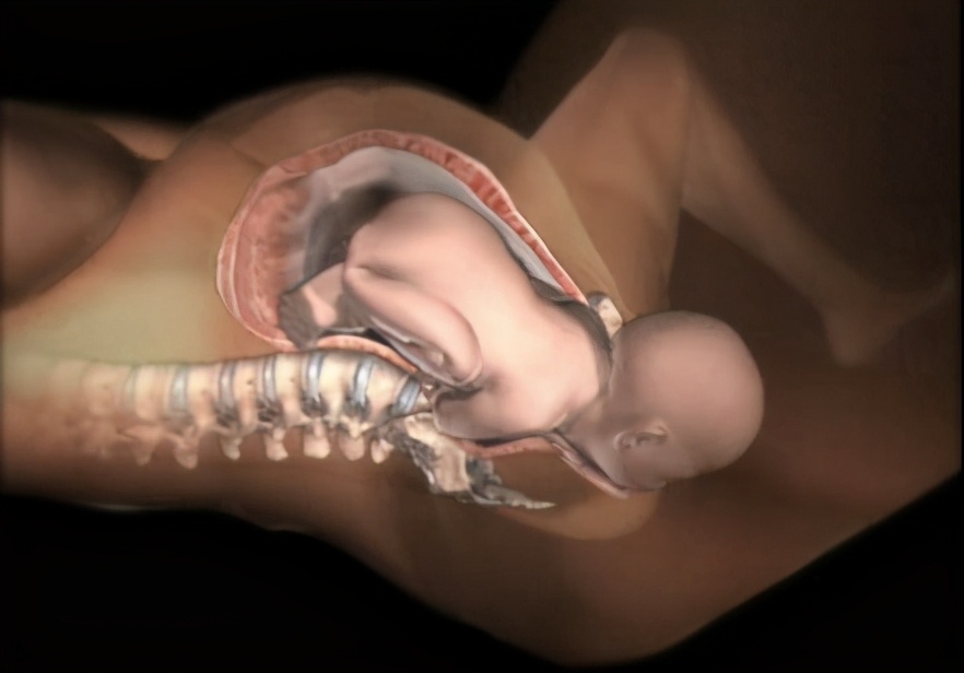 分娩时胎儿产伤有哪些,生产过程胎儿骨折医院承担责任吗