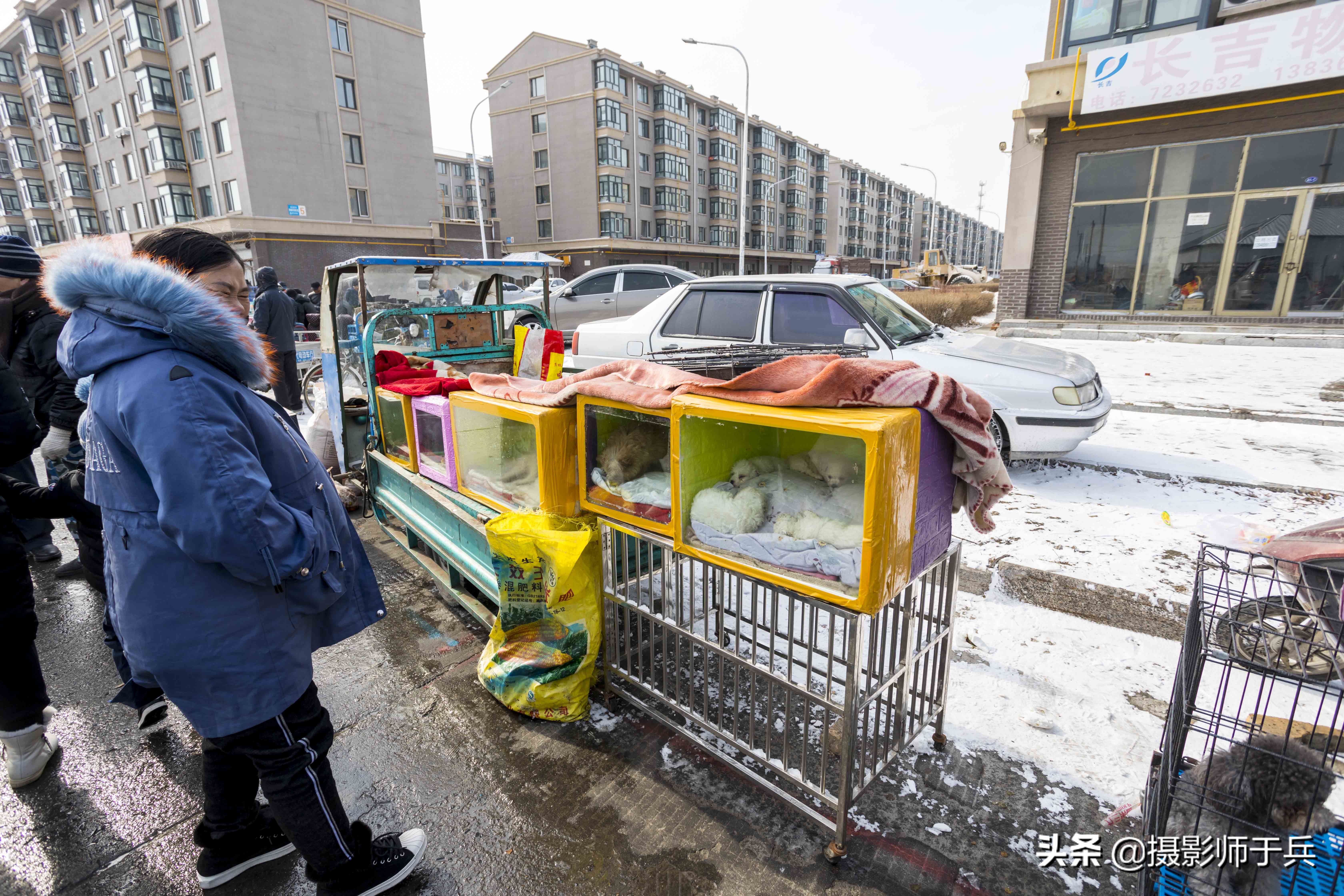 绥化安达狗市,黑龙江省绥化故事之一