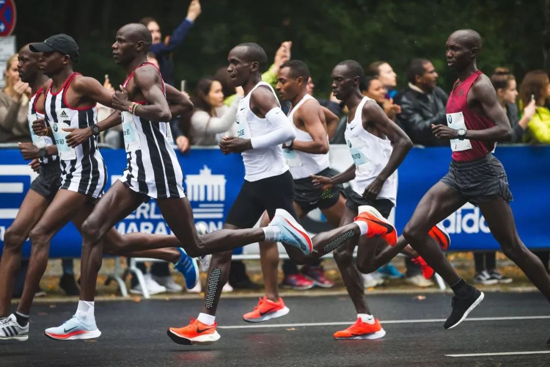 马拉松赛一般有多少个兔子,马拉松兔子都是很厉害的吗