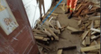 蛇出没！别怕，有“蓝朋友”保护你！