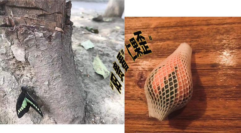 生活在贵阳的“老外”是怎么看待贵阳的？