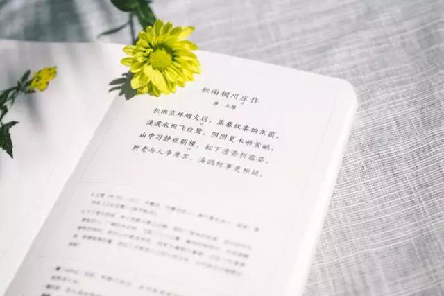 古诗词滋养大的孩子,用古典诗词喂大的孩子