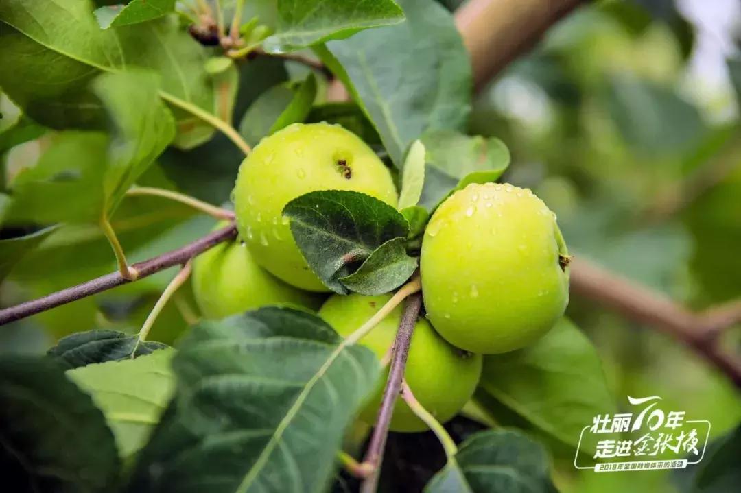甘肃宝藏最多的地方,甘肃这座宝藏小城