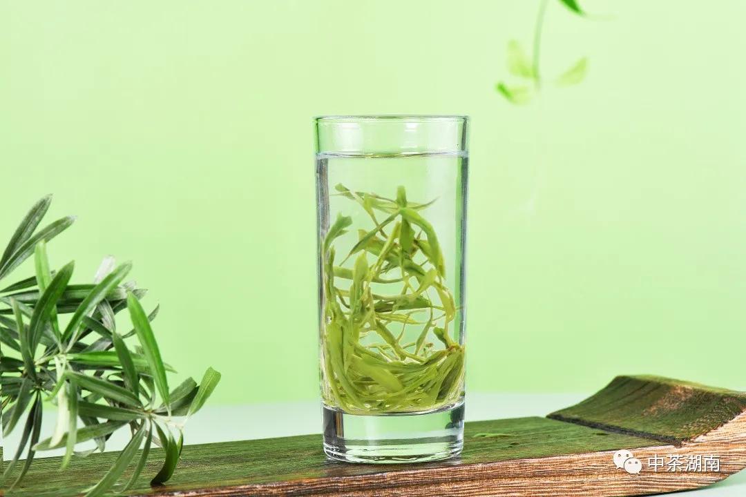 古丈毛尖绿茶,毛尖顶级绿茶