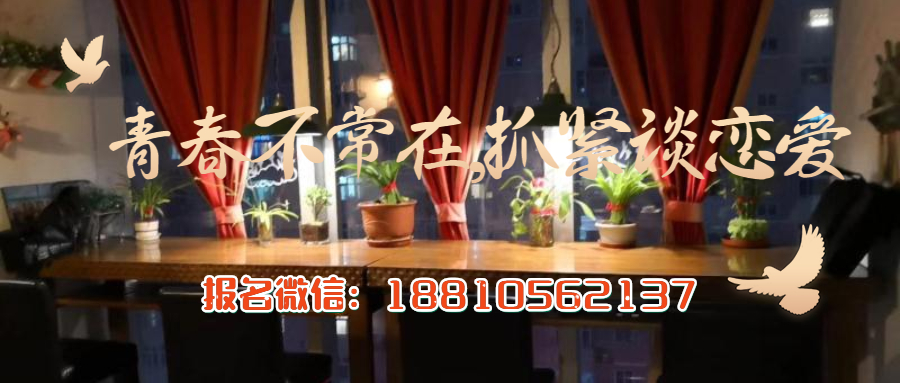 北京脱单最佳方法,北京脱单相亲平台