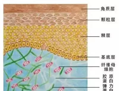 <html>
<head><title>502BadGateway</title></head>
<body>
<center><h1>502BadGateway</h1></center>
<hr><center>nginx</center>
</body>
</html>
<!--apaddingtodisableMSIEandChromefriendlyerrorpage-->
<!--apaddingtodisableMSIEandChromefriendlyerrorpage-->
<!--apaddingtodisableMSIEandChromefriendlyerrorpage-->
<!--apaddingtodisableMSIEandChromefriendlyerrorpage-->
<!--apaddingtodisableMSIEandChromefriendlyerrorpage-->
<!--apaddingtodisableMSIEandChromefriendlyerrorpage-->
