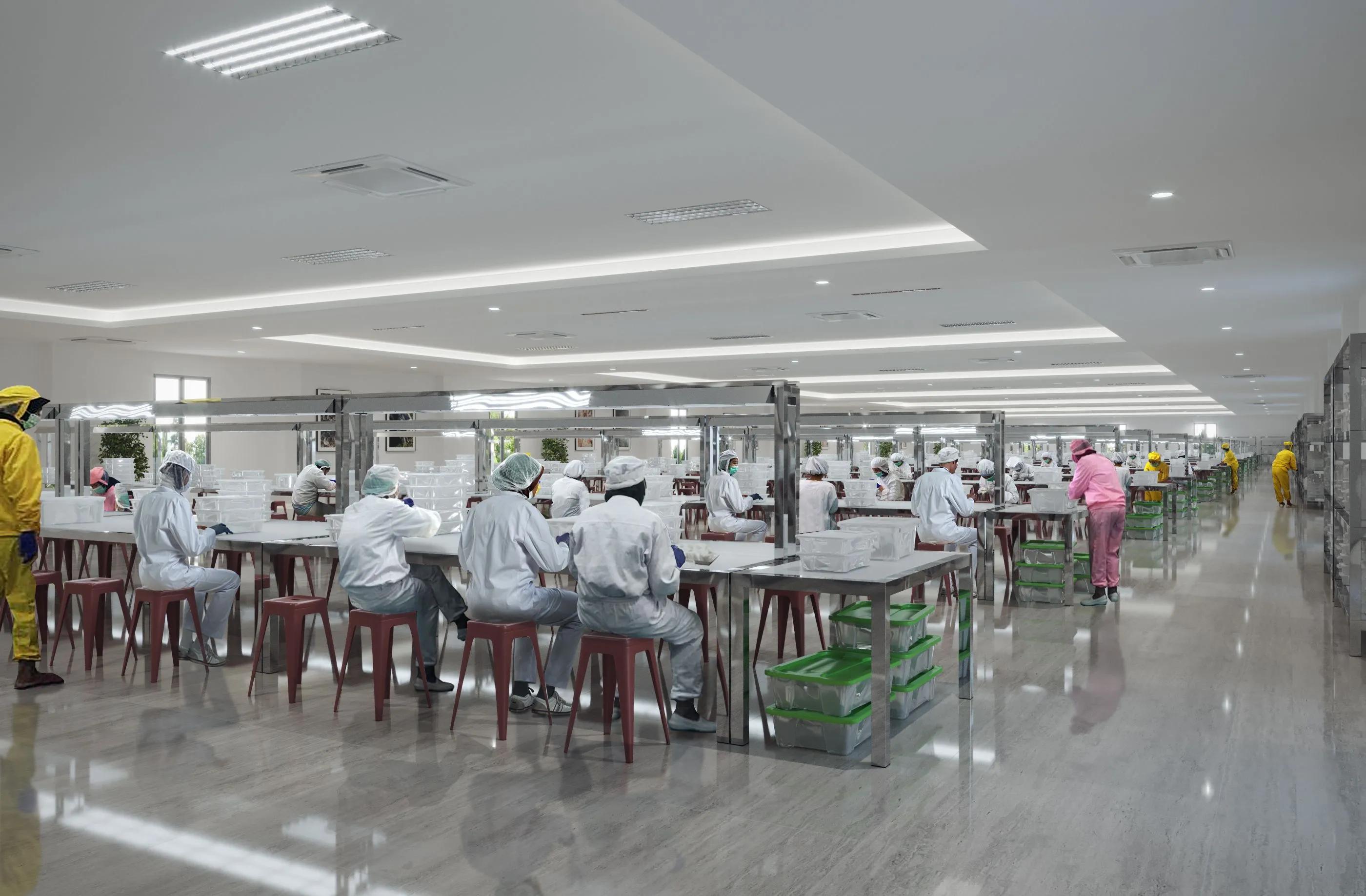 2021燕窝价格,2020年燕窝市场趋势