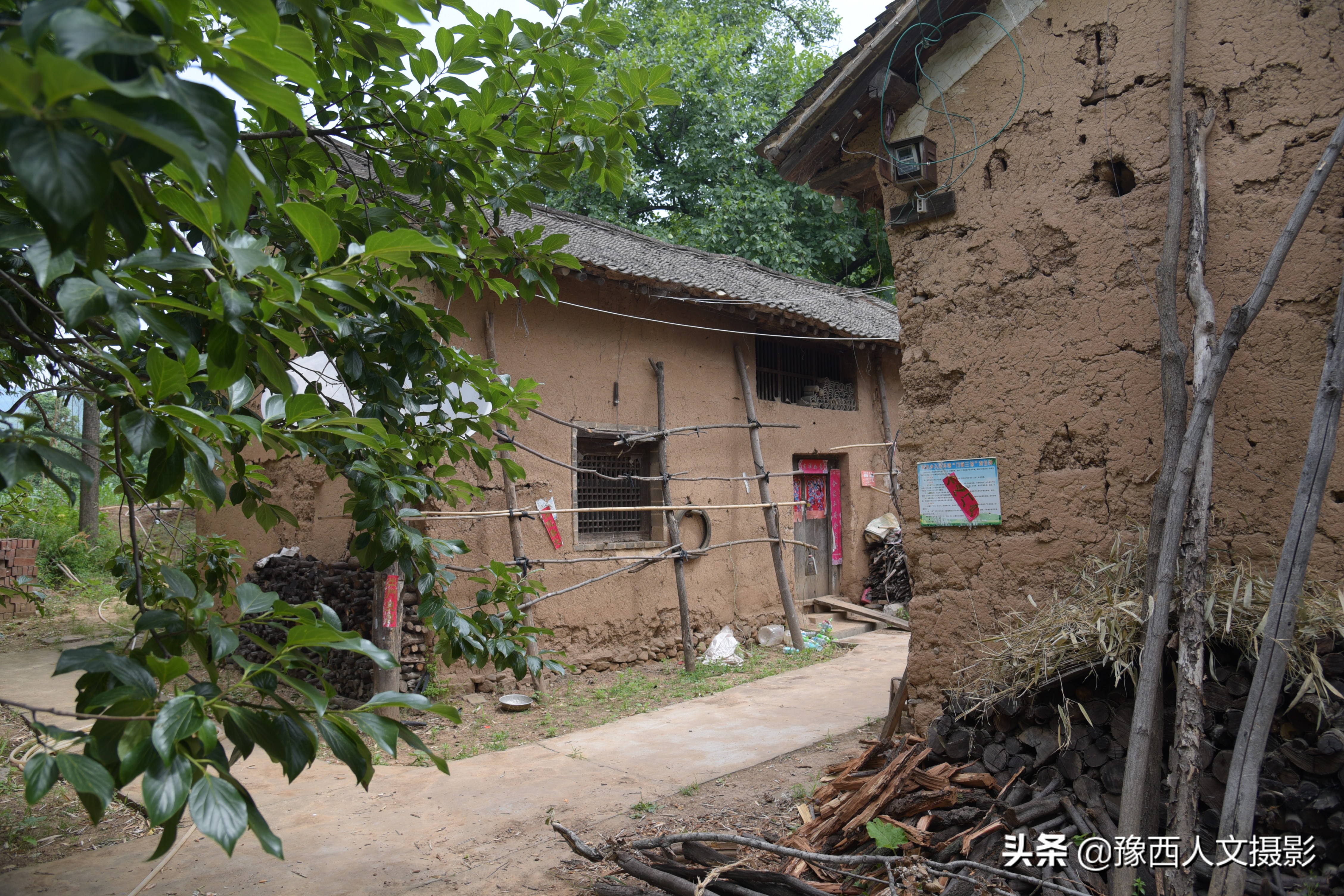 山里父亲10年前为儿子打算,藏一囤小麦两桶黄豆,娶媳妇却没用上