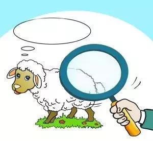 羊肉知识大全,羊肉美食科普知识