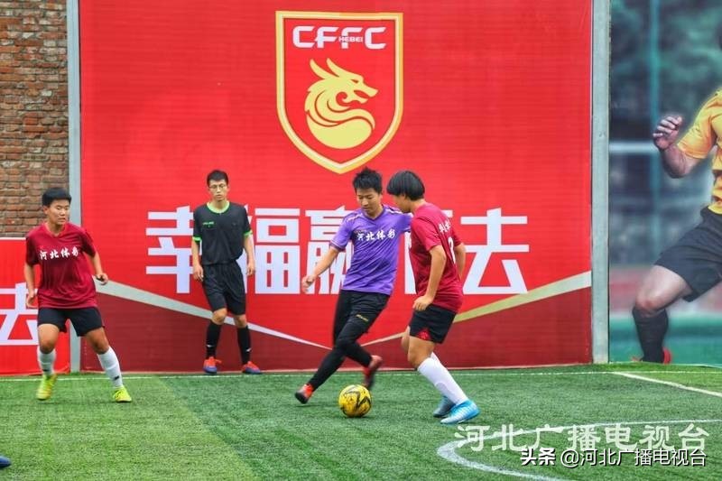 河北华夏幸福京津冀杯,河北华夏幸福球迷群体