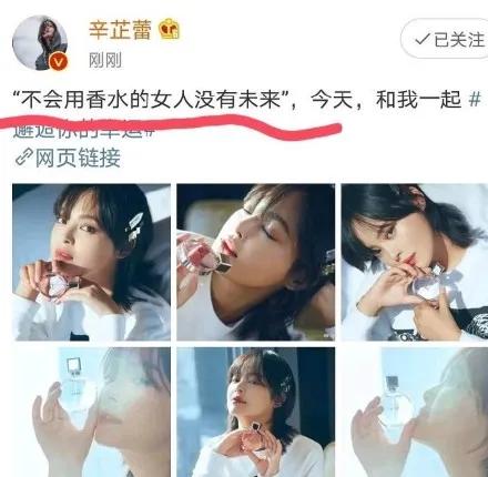 辛芷蕾说香水,辛芷蕾平价香水