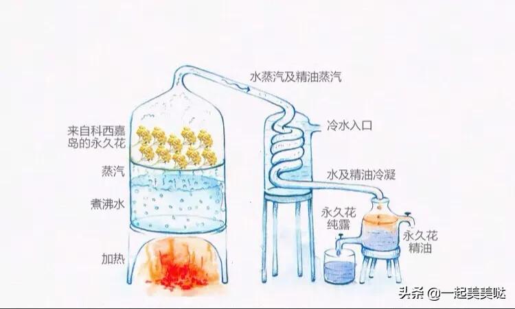 最好用的平价爽肤水,爽肤水推荐平价学生美白