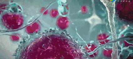 鼠届异形裸鼹鼠6大“特异功能”,做梦都想拥有,不得癌症不衰老