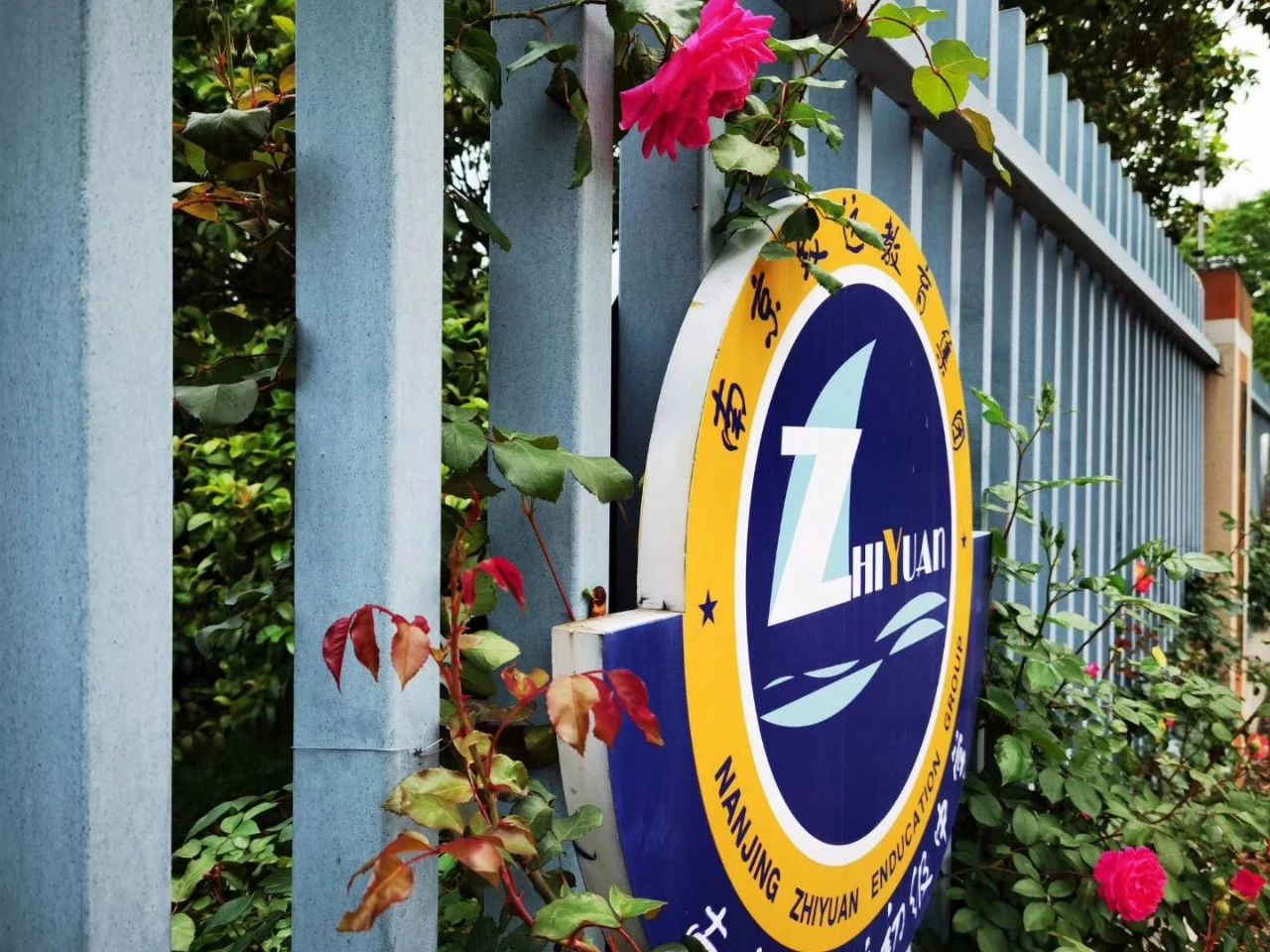 南京教育集团有哪些校,南京一中教育集团