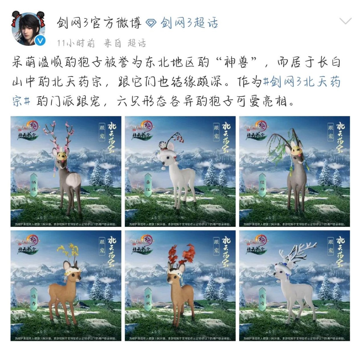 剑网三宠物御兽,剑网三纯阳仙鹤宠物展示