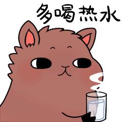 老外评价各国留学生,外国人看上中国留学生样貌