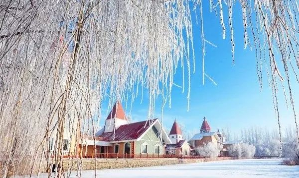 描写冬天柳树的优美句子,诗词赏析及知识普及