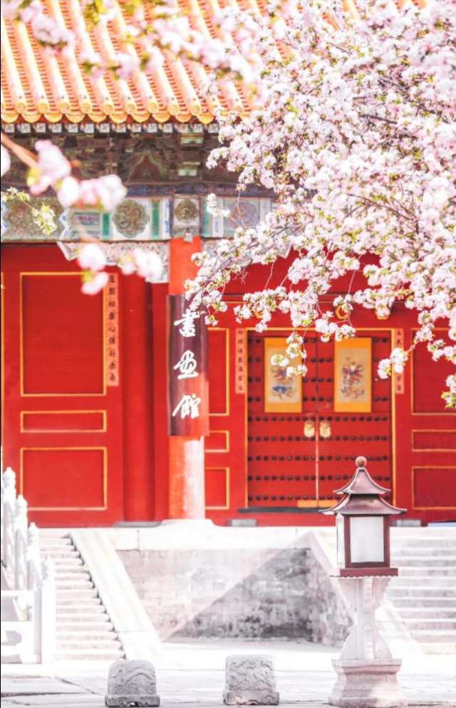 辰星书还有后续吗,辰星小说最新章节