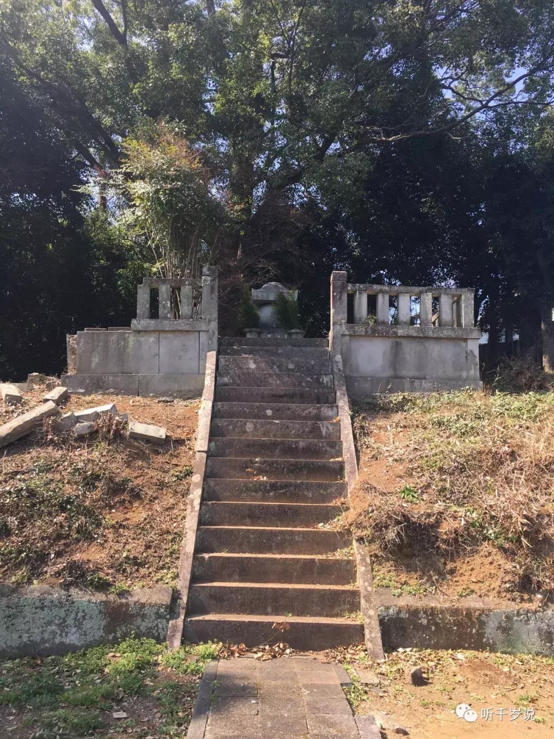 日本东京熊本熊,日本熊本游