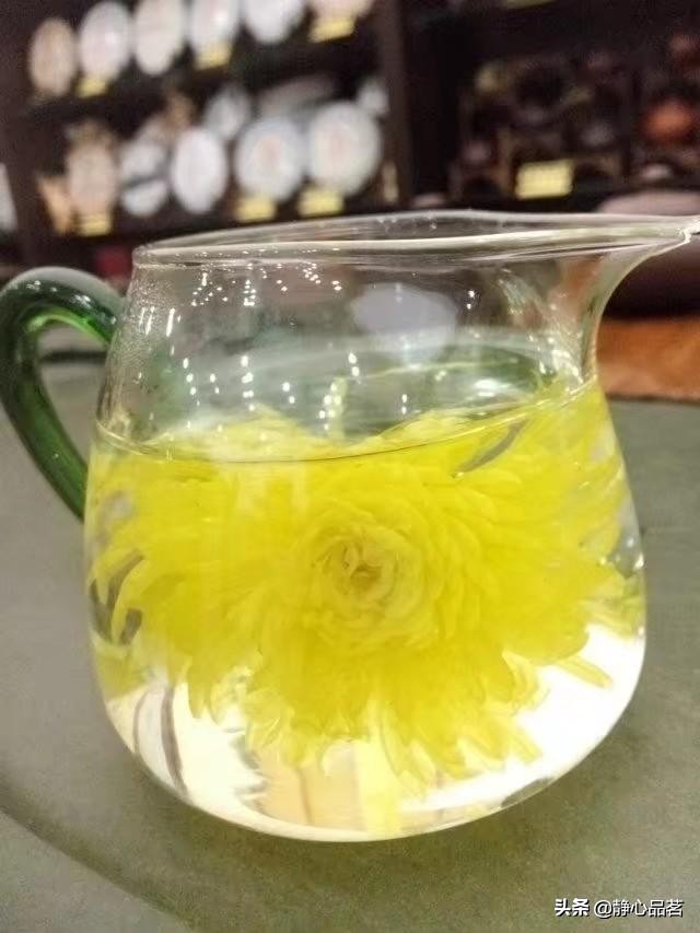 金丝皇菊清肝明目最佳选择,清肝明目去火的菊花品种有