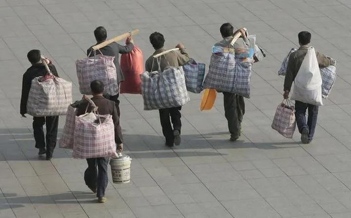 子鼠丑牛中的牛,子鼠丑牛好吗