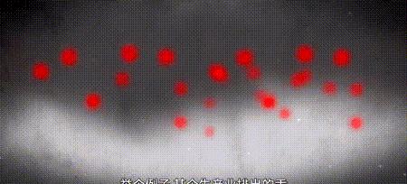 渔业危机纪录片,渔业阴谋纪录片预告