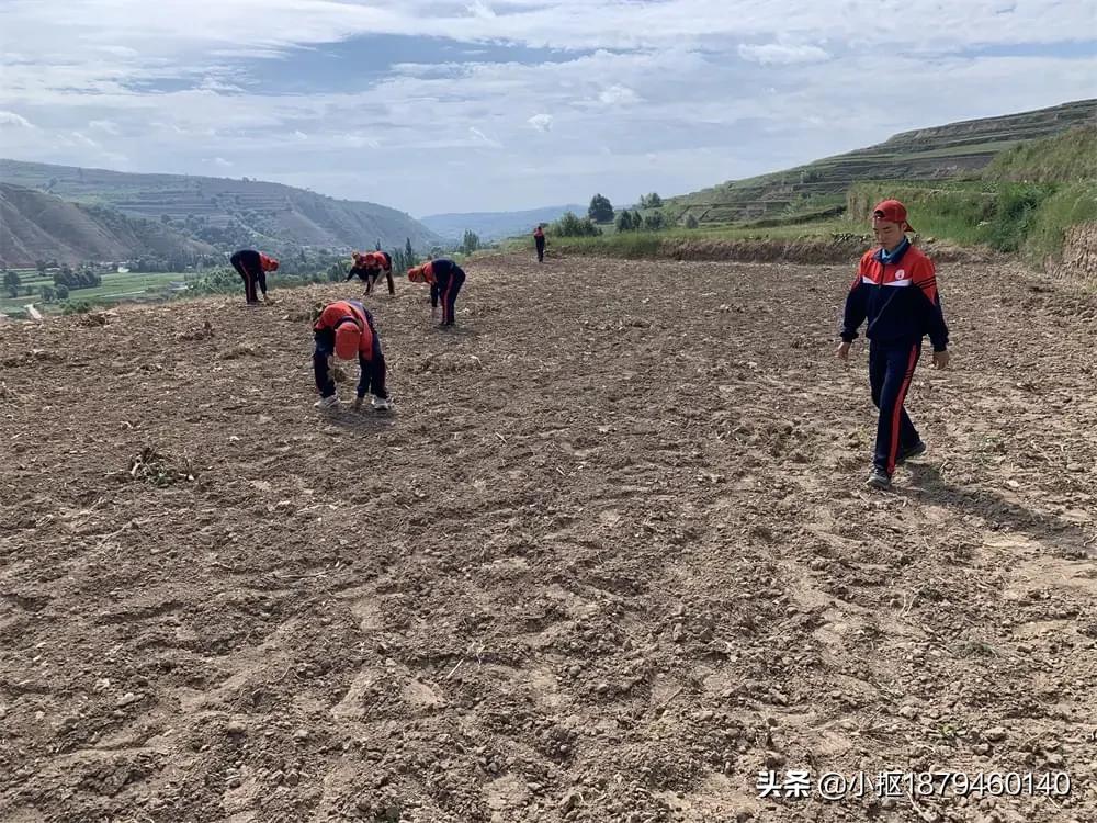 李锋教育视频全集,李锋教育跨年视频