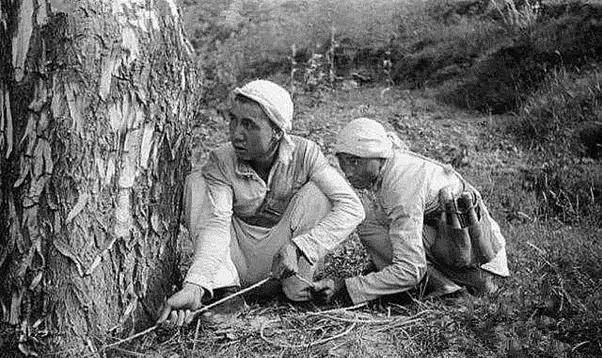 威震敌胆的图片,威震敌胆的视频