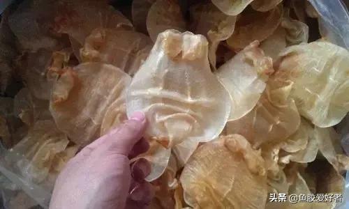 花胶涨发的正确方法,花胶的种类及区别