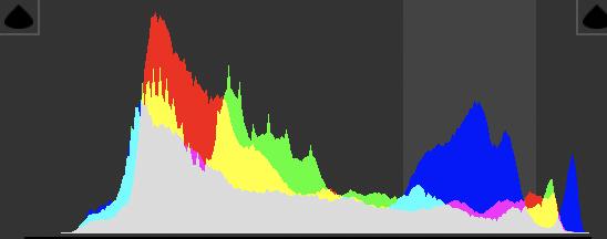 如何零基础自学摄影,如何系统地自学摄影后期