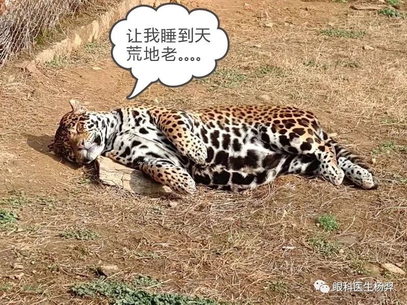 防范近视的户外活动,户外活动防控近视背后的秘密