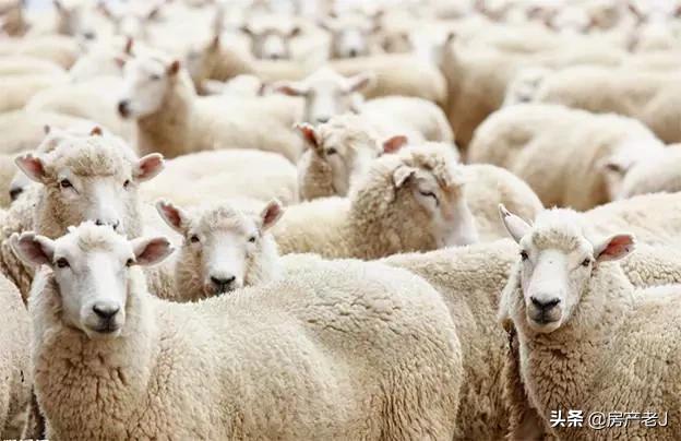 褶皱的皮衣服怎么快速弄平,皮衣皱了洗了弄平小技巧