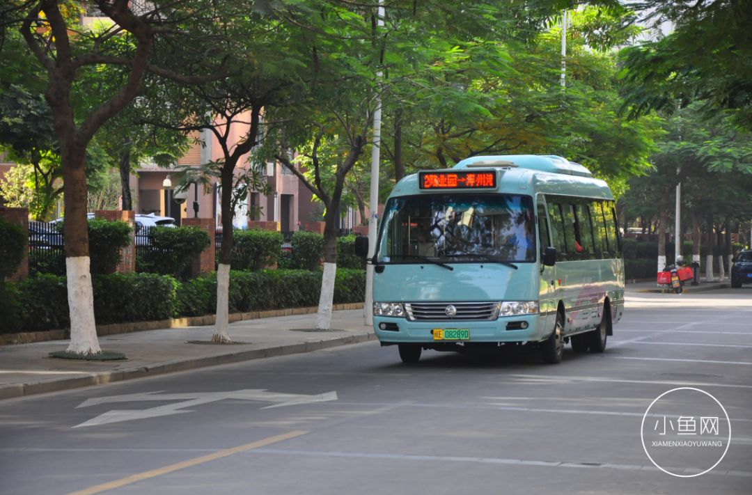鬼城or未来可期？我们走进漳州港，发现“接盘侠”的各种悲喜交加