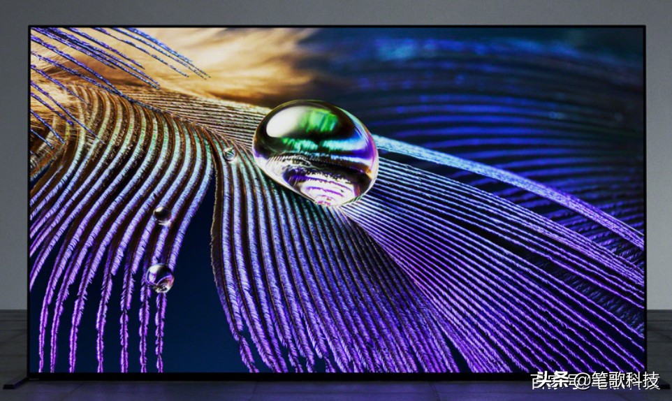 索尼55mmf1.8和尼康50mmf1.8s,索尼和尼康高端哪个更值得入手