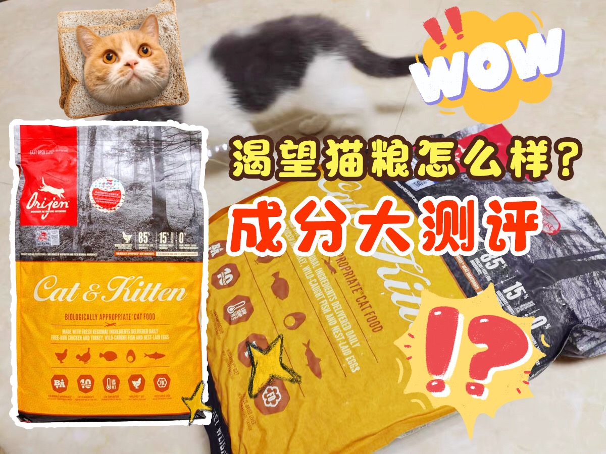 新版渴望猫粮怎么样,渴望鸡和渴望鱼猫粮