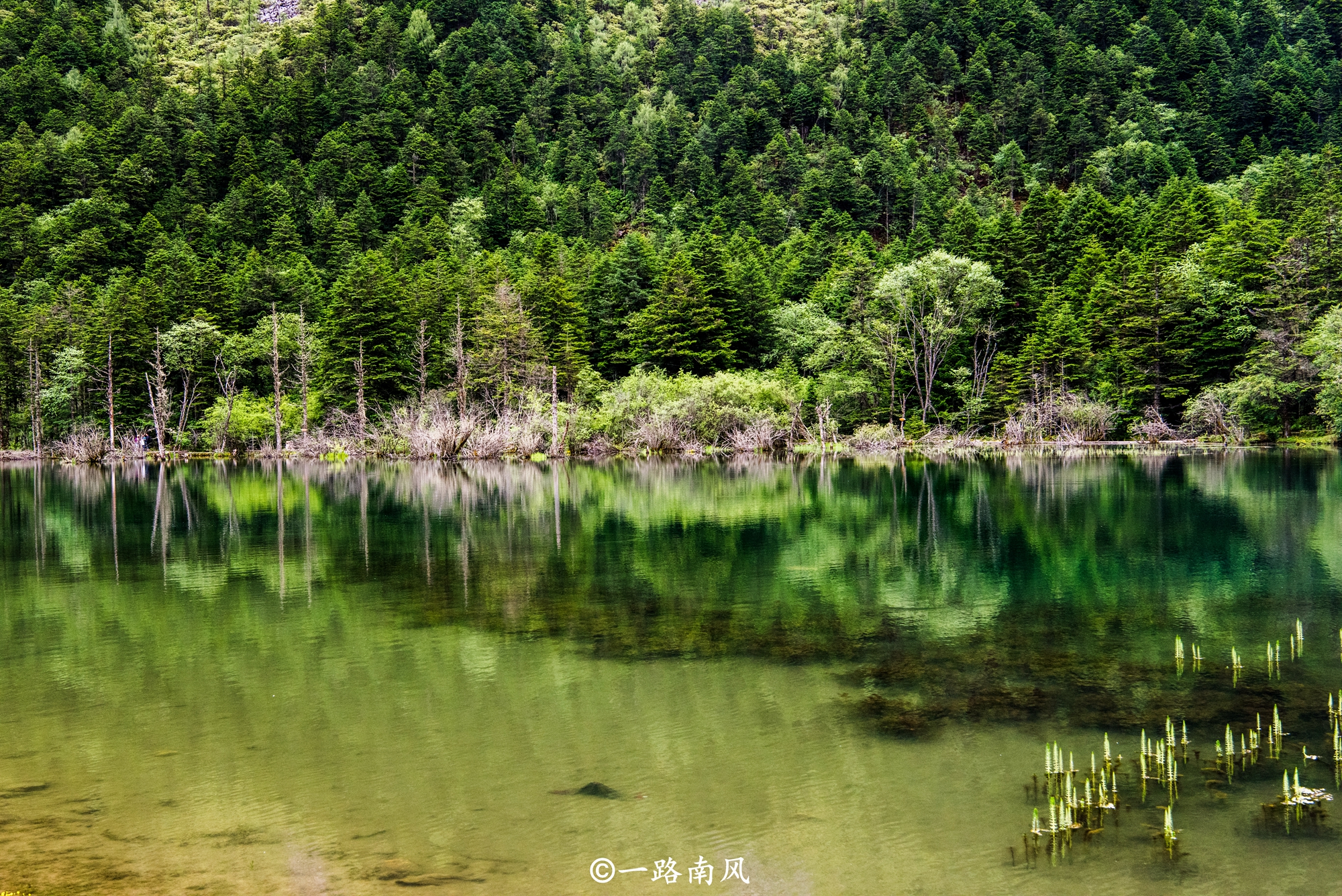 探寻四川甘孜自治州的神秘风光,甘孜州甲居藏寨风景