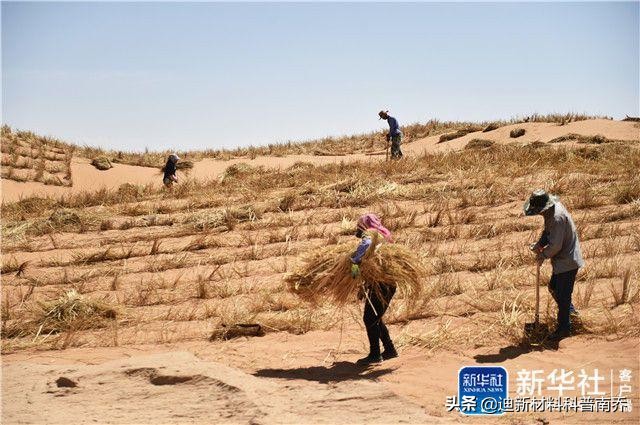 地球史上最大干旱,干旱使地球变得怎么样