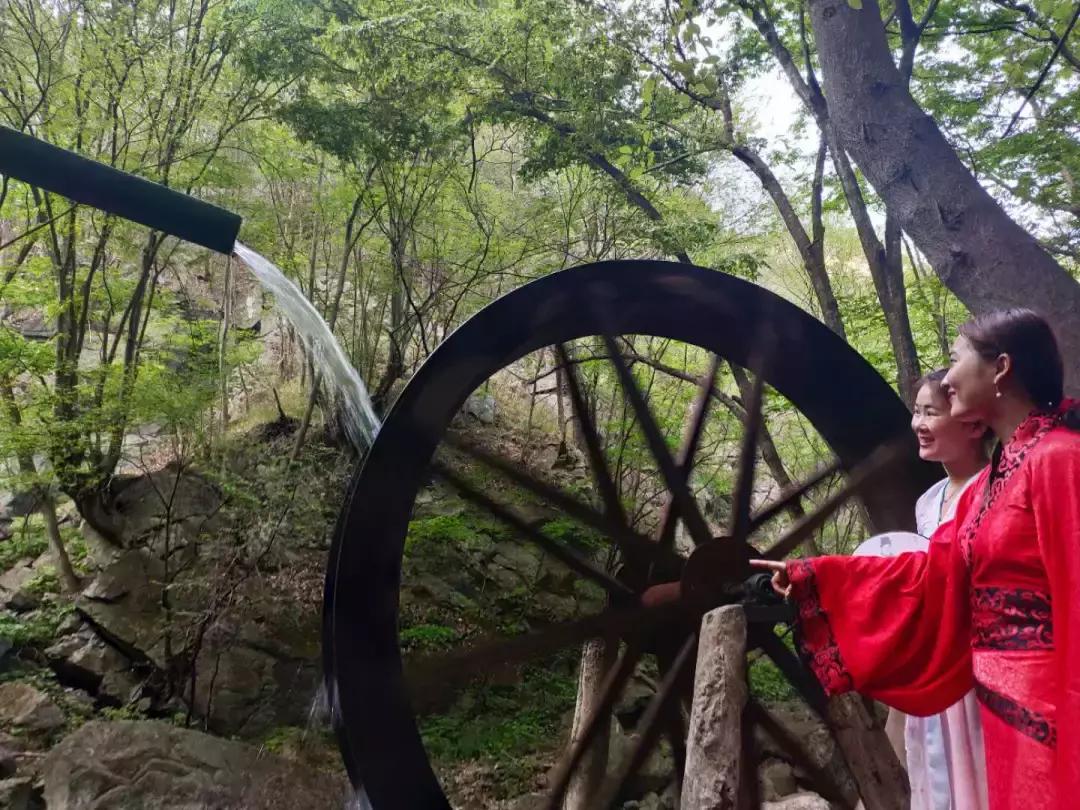 南阳西峡老君洞大锅菜,有哪些适合多人吃的大锅菜