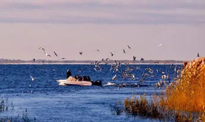 去额济纳旗胡杨林旅游攻略,额济纳旗旅游住宿全攻略