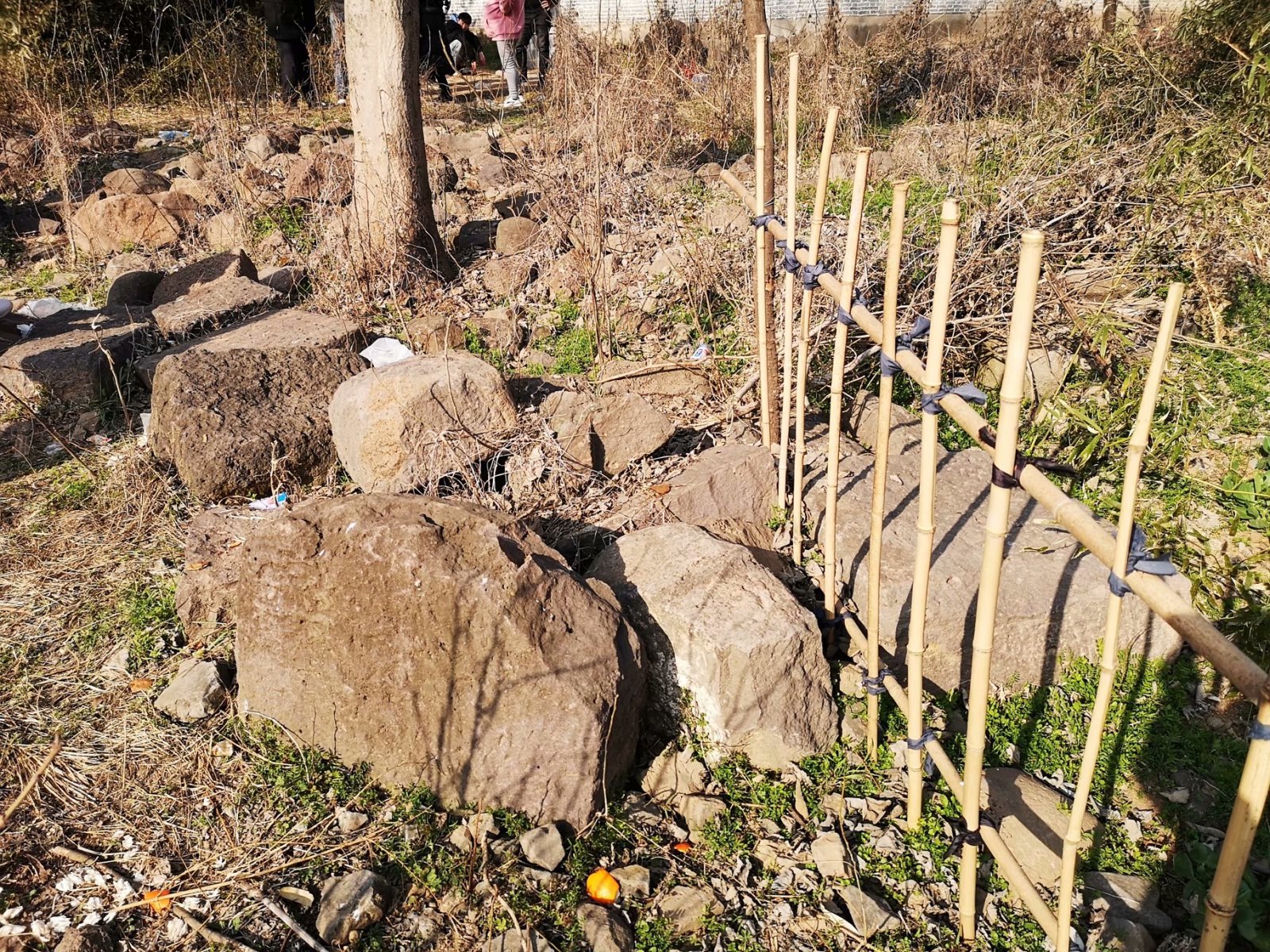 摩托周边旮旯游——探访明光法华禅庵塔