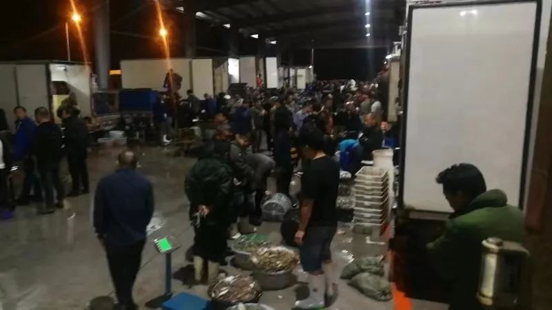 锦州物流基地在哪里,锦州思凯农副产品国际物流园